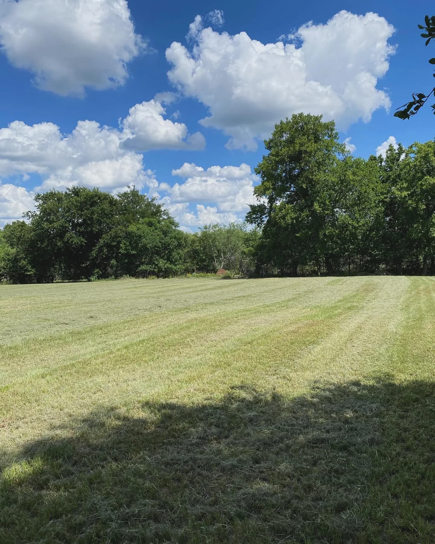 Ultimate Landcare Services yard work photo 30