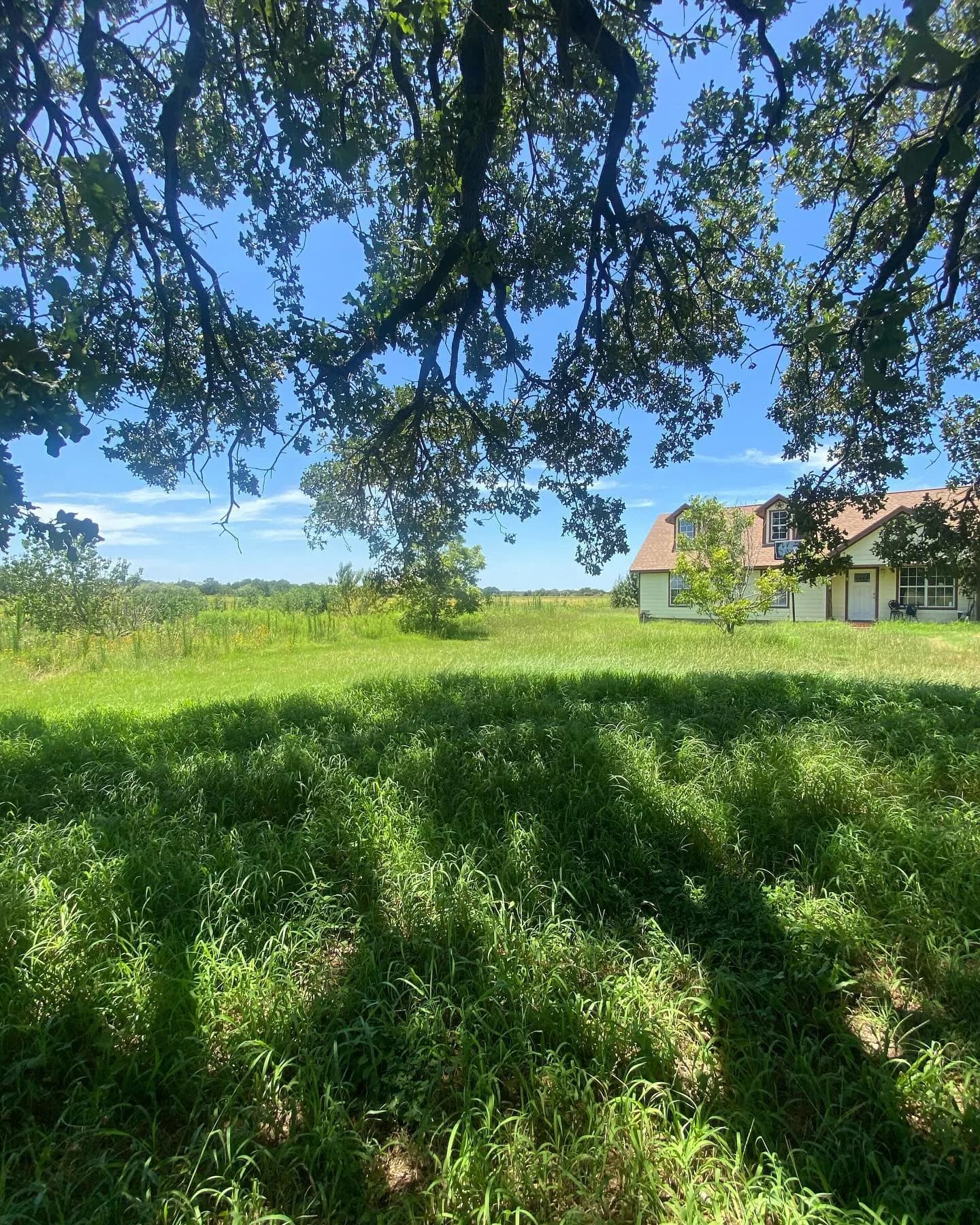 Ultimate Landcare Services yard work photo 40