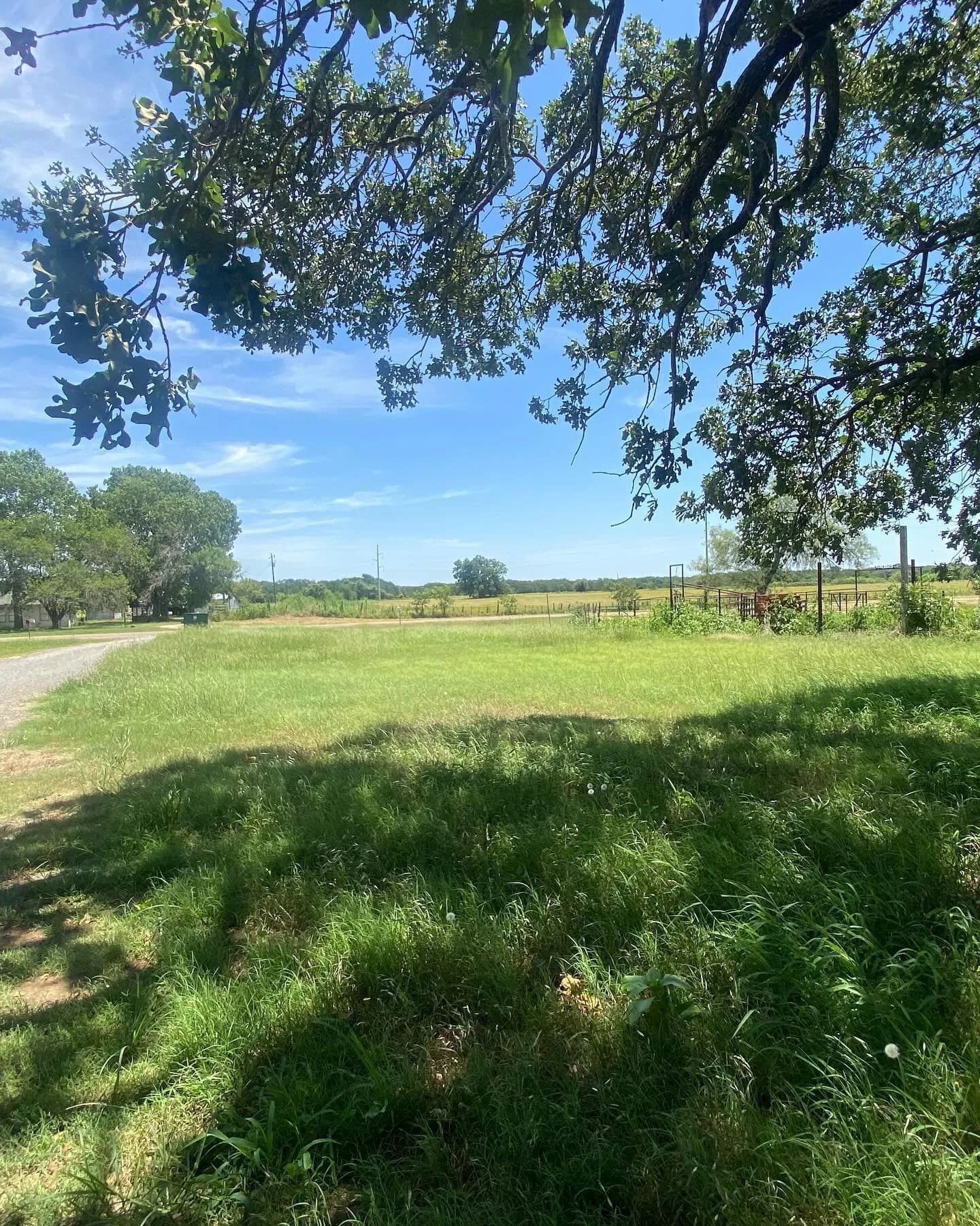 Ultimate Landcare Services yard work photo 44
