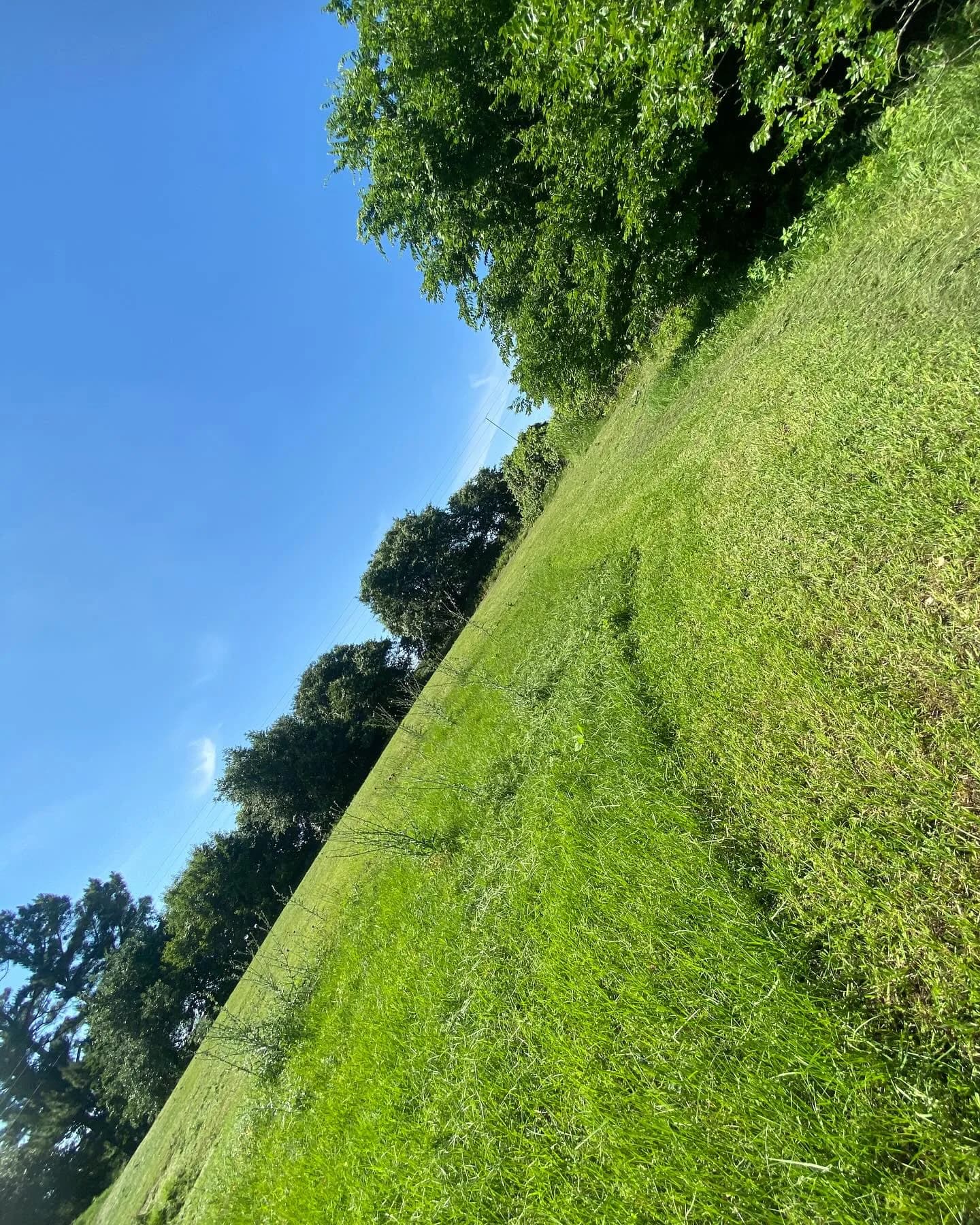 Ultimate Landcare Services yard work photo 58